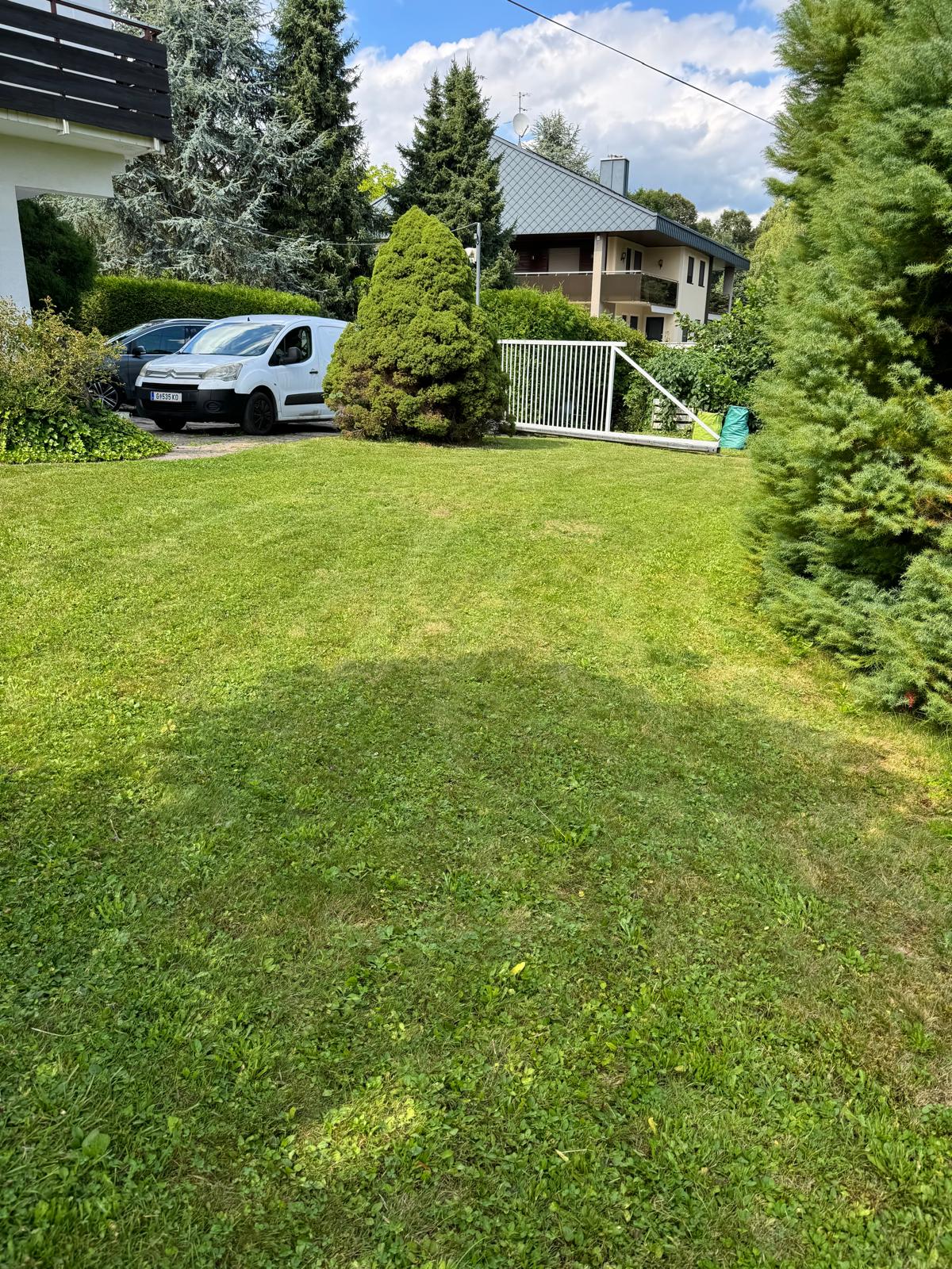 Rasenmähen & Rasenpflege