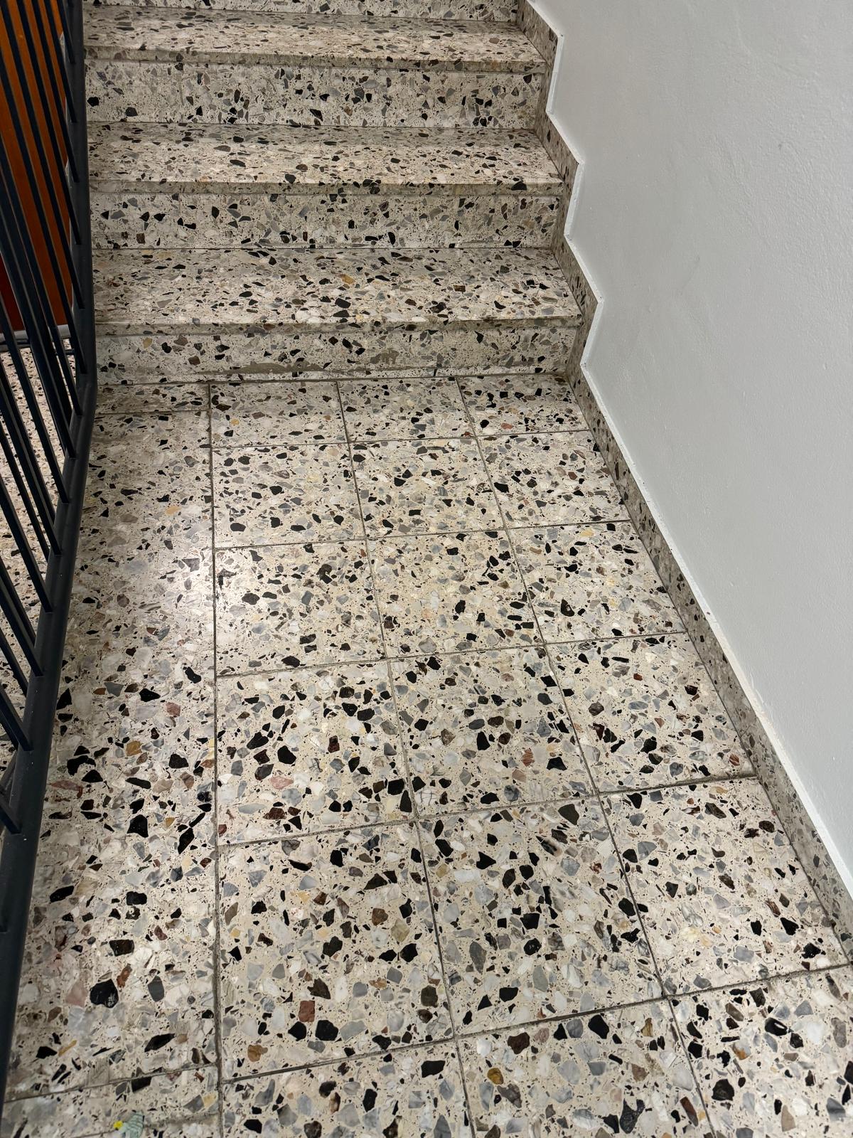 Gereinigte Stiege